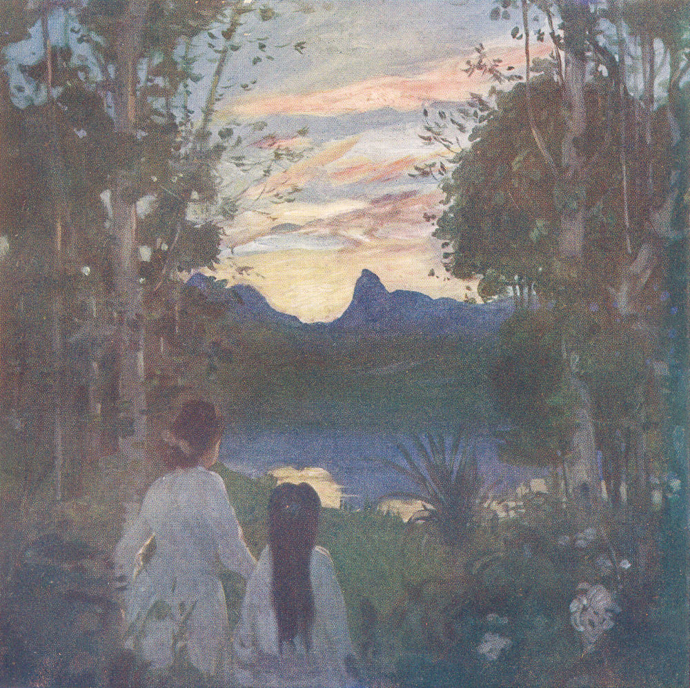 BRAZIL. Brazilian woodland scenery at Sunset 1908 old antique print picture